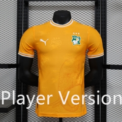 Player Version 2024-2025 Ivory Coast Orange Thailand Soccer Jersey AAA-888