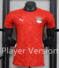 Player Version 2025-2026 Punched Plate Version Egypt Home Red Thailand Soccer Jersey AAA-888